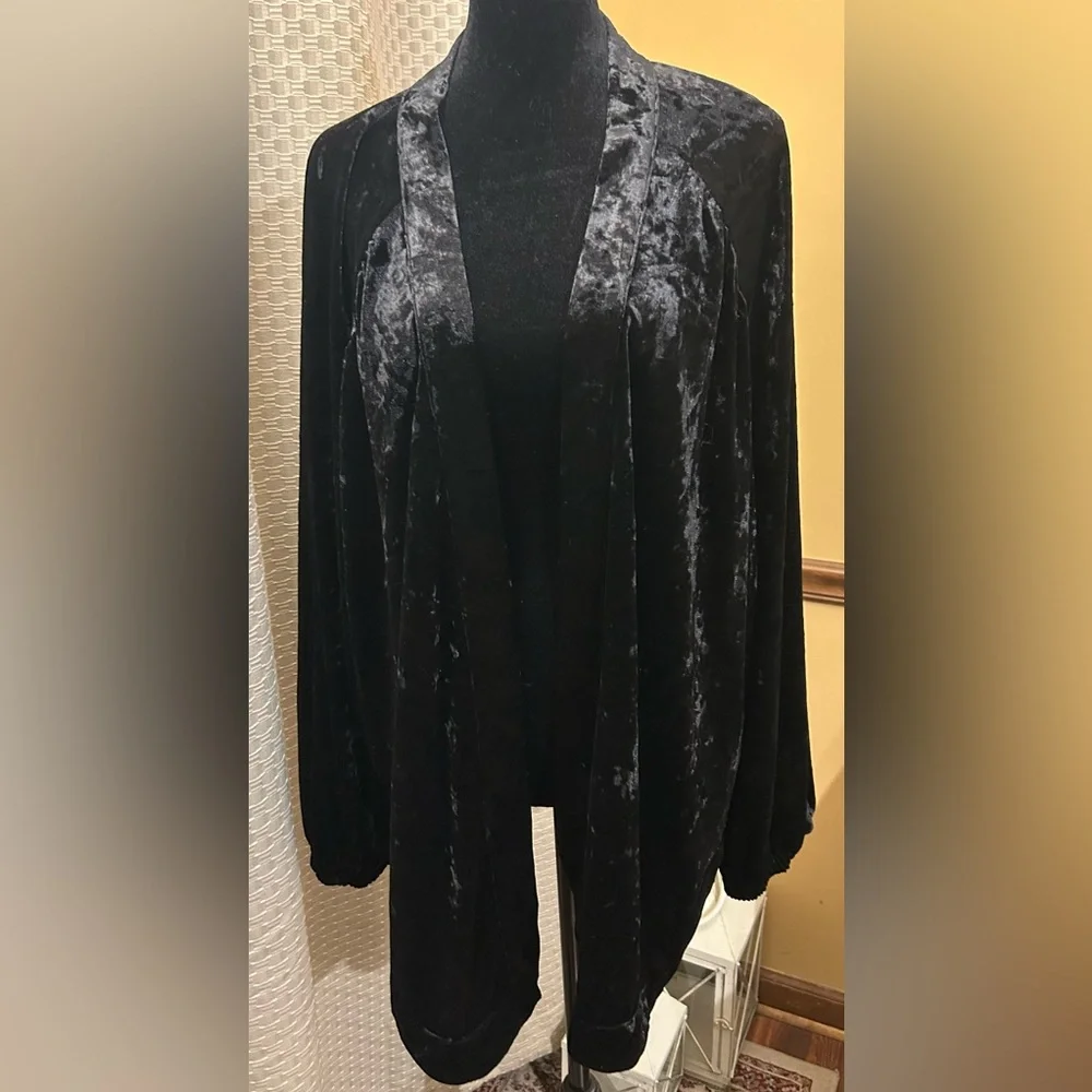 ODDY Anthropologie Black Velvet Garment - Picture 3 of 10